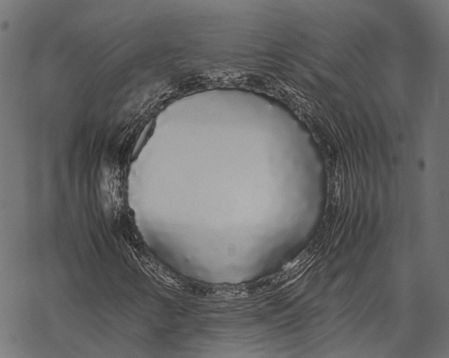 X0000067931346200605041724
