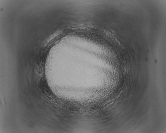 X0000067931350200605041724