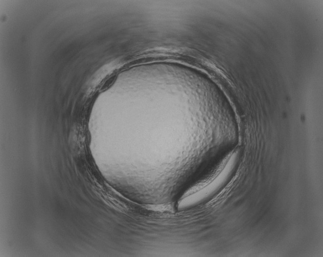 X0000067931355200605041724