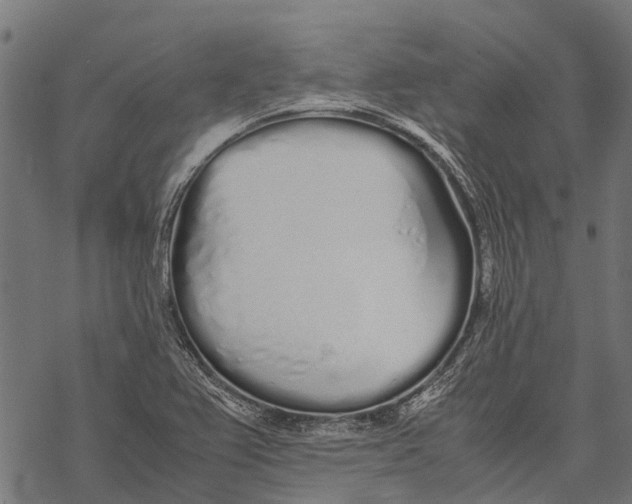 X0000067931367200605041724