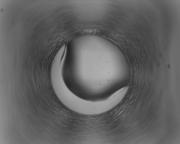 X0000067931394200605041723