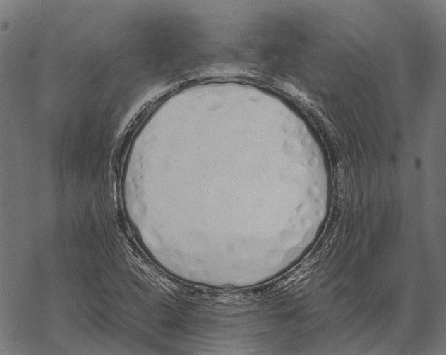 X0000067931408200605041723