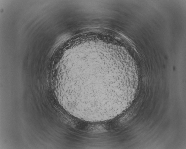 X0000067931411200605041723