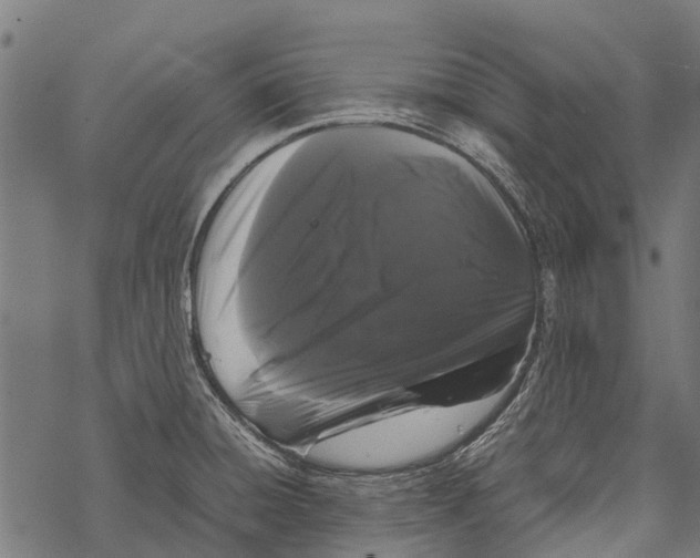 X0000067931428200605041723