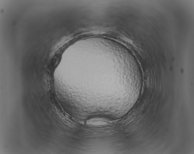 X0000067931448200605041722