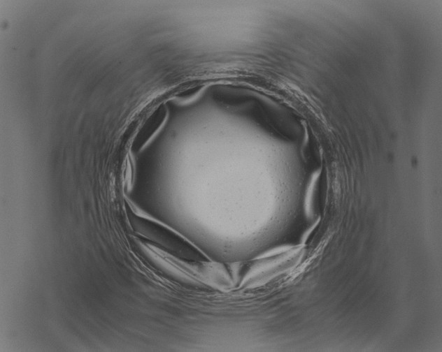 X0000067931449200605041722