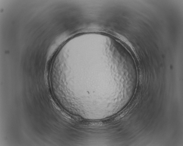 X0000067931464200605041722