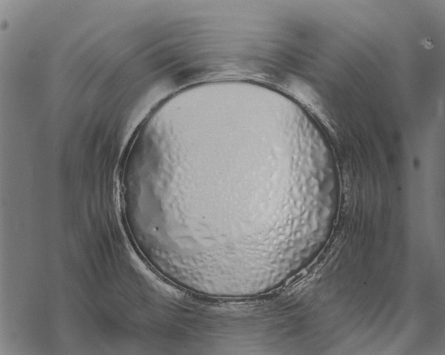 X0000067931476200605041722