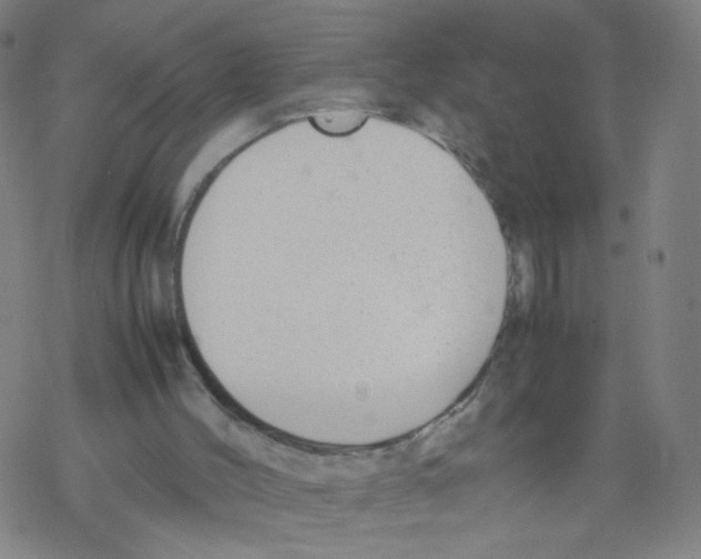 X0000067930004200605112046
