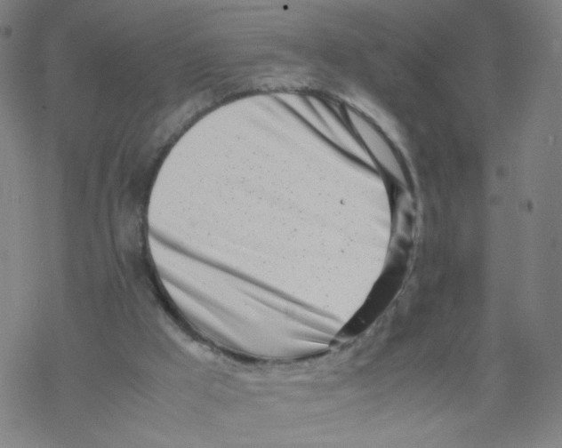 X0000067930009200605112046