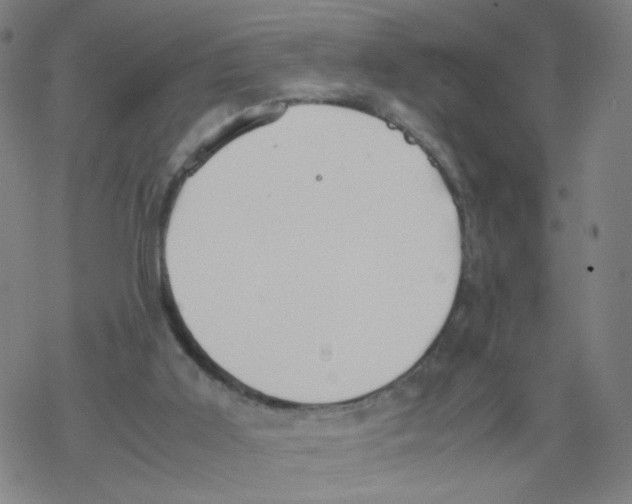 X0000067930011200605112046