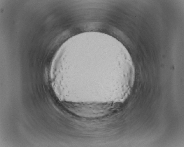 X0000067930022200605112046