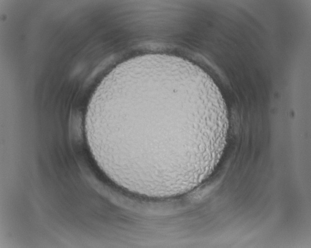 X0000067930024200605112045