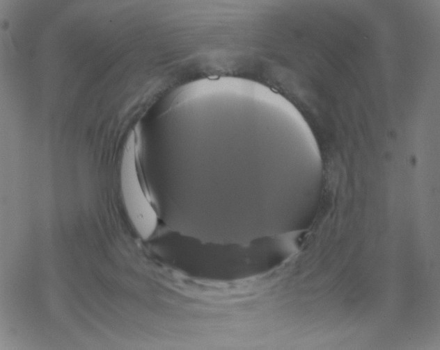 X0000067930027200605112045