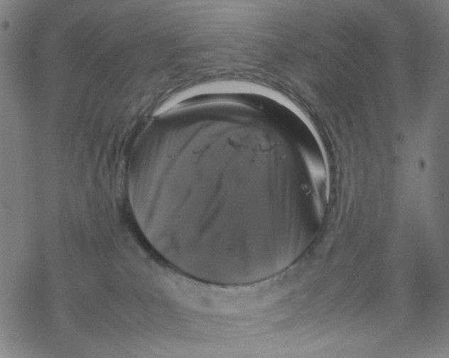 X0000067930039200605112045