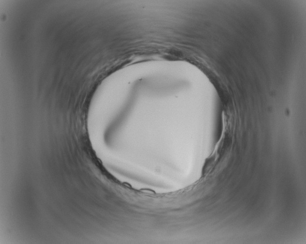 X0000067930043200605112045