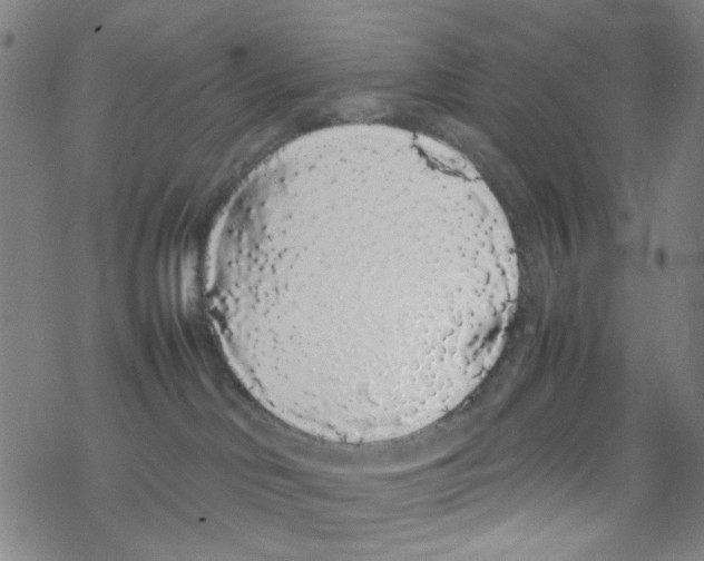X0000067930046200605112045