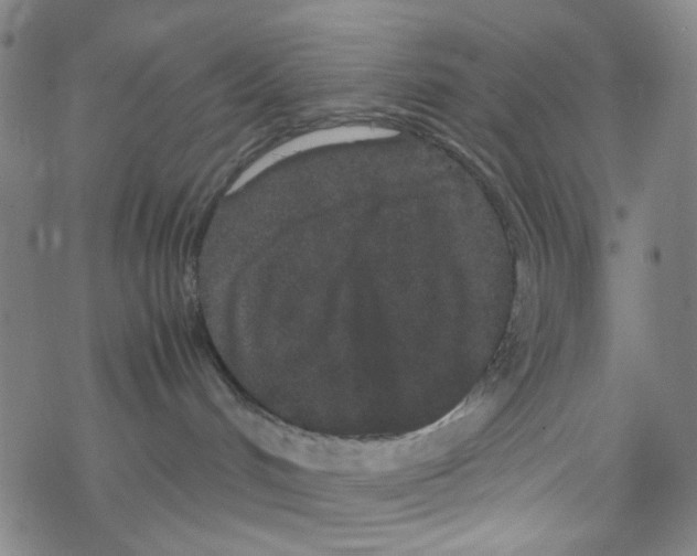 X0000067930048200605112045