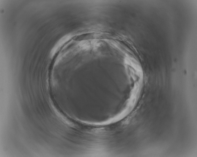 X0000067930054200605112044