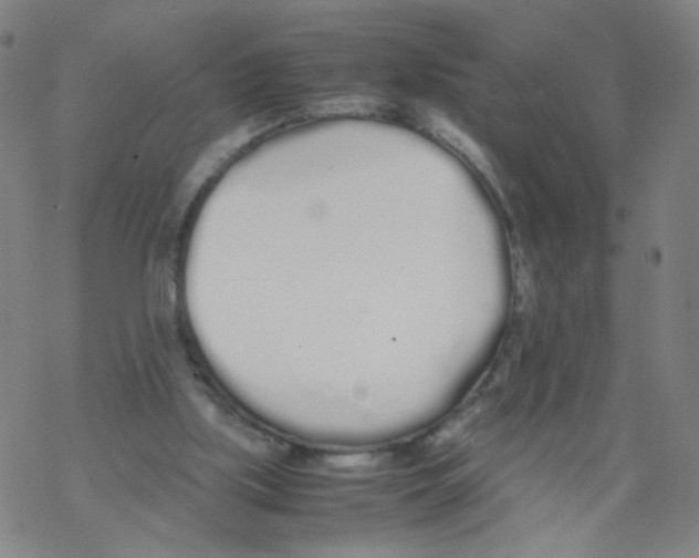 X0000067930059200605112044