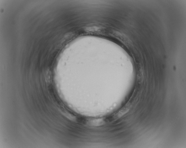 X0000067930081200605112045