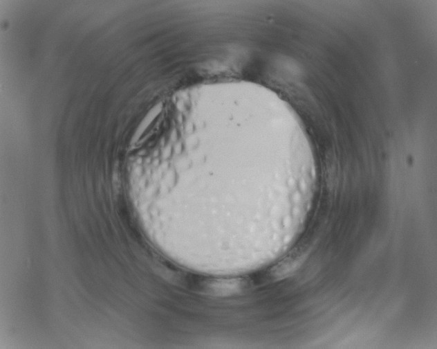 X0000067930085200605112045