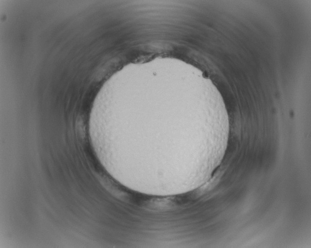 X0000067930086200605112045
