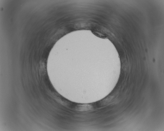 X0000067930087200605112045