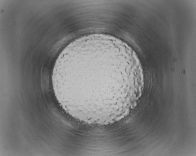 X0000067930110200605112044