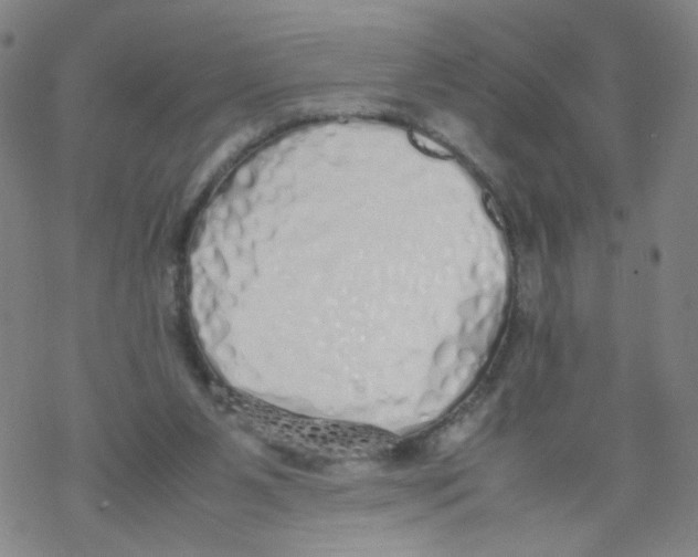 X0000067930111200605112044