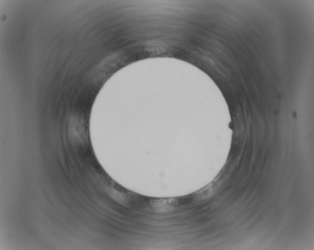 X0000067930136200605112044