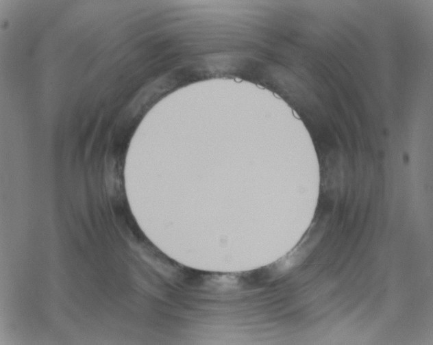 X0000067930140200605112044