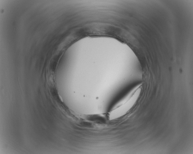 X0000067930141200605112043