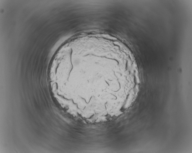 X0000067930147200605112043