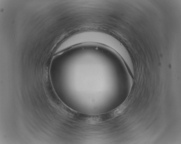 X0000067930168200605112043