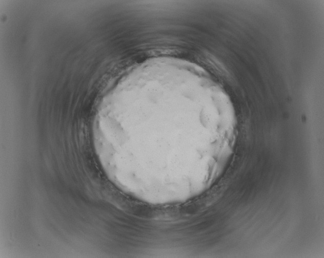 X0000067930169200605112043