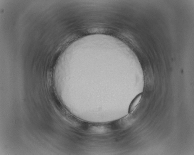 X0000067930171200605112043