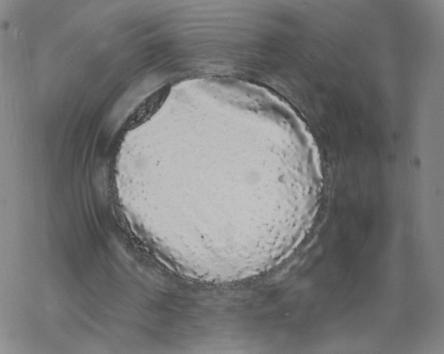 X0000067930194200605112043