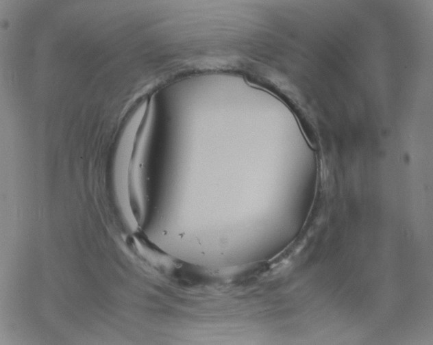 X0000067930201200605112042