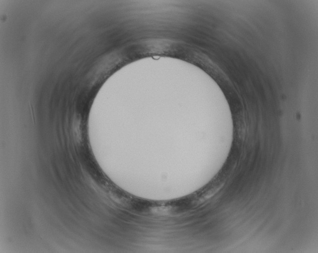 X0000067930216200605112042