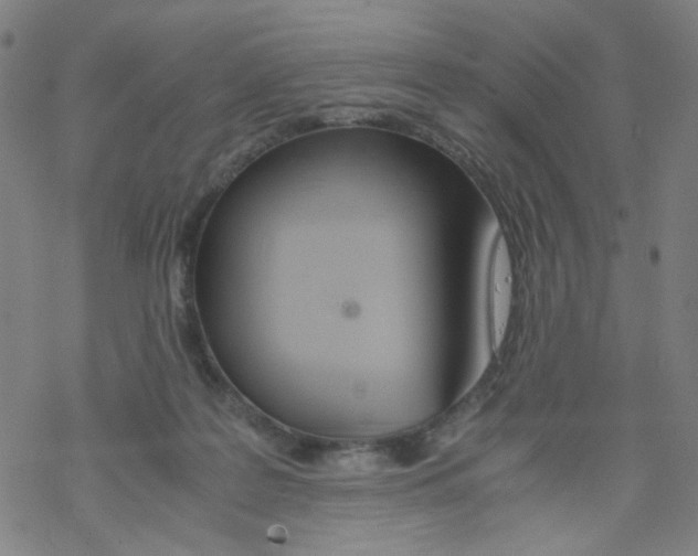 X0000067930219200605112042