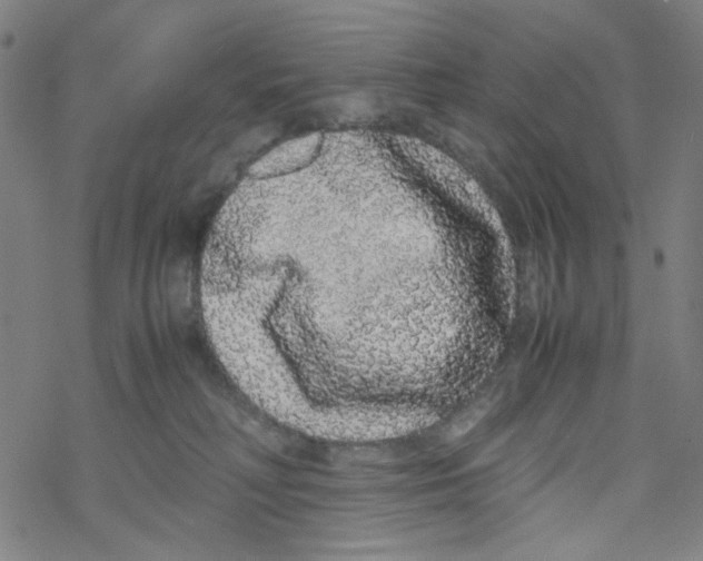 X0000067930230200605112042