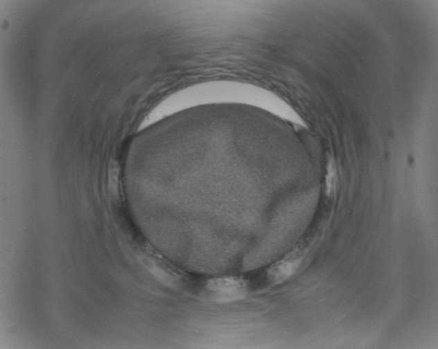 X0000067930231200605112042