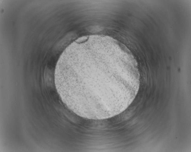 X0000067930234200605112042