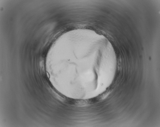 X0000067930238200605112042