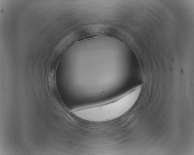 X0000067930239200605112042