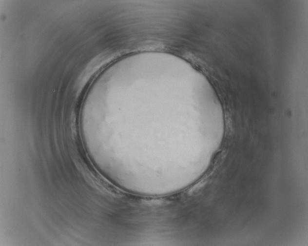 X0000067930242200605112041