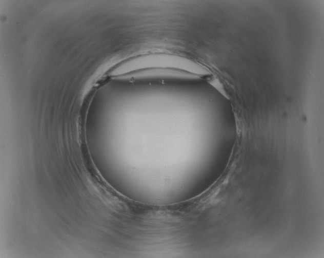 X0000067930244200605112041