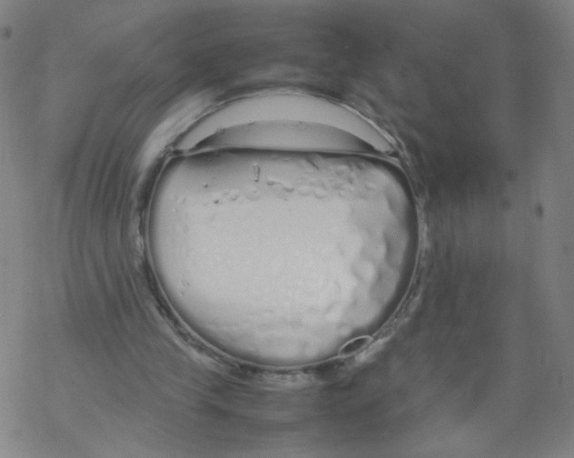 X0000067930245200605112041