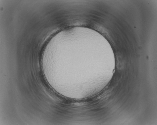 X0000067930251200605112041